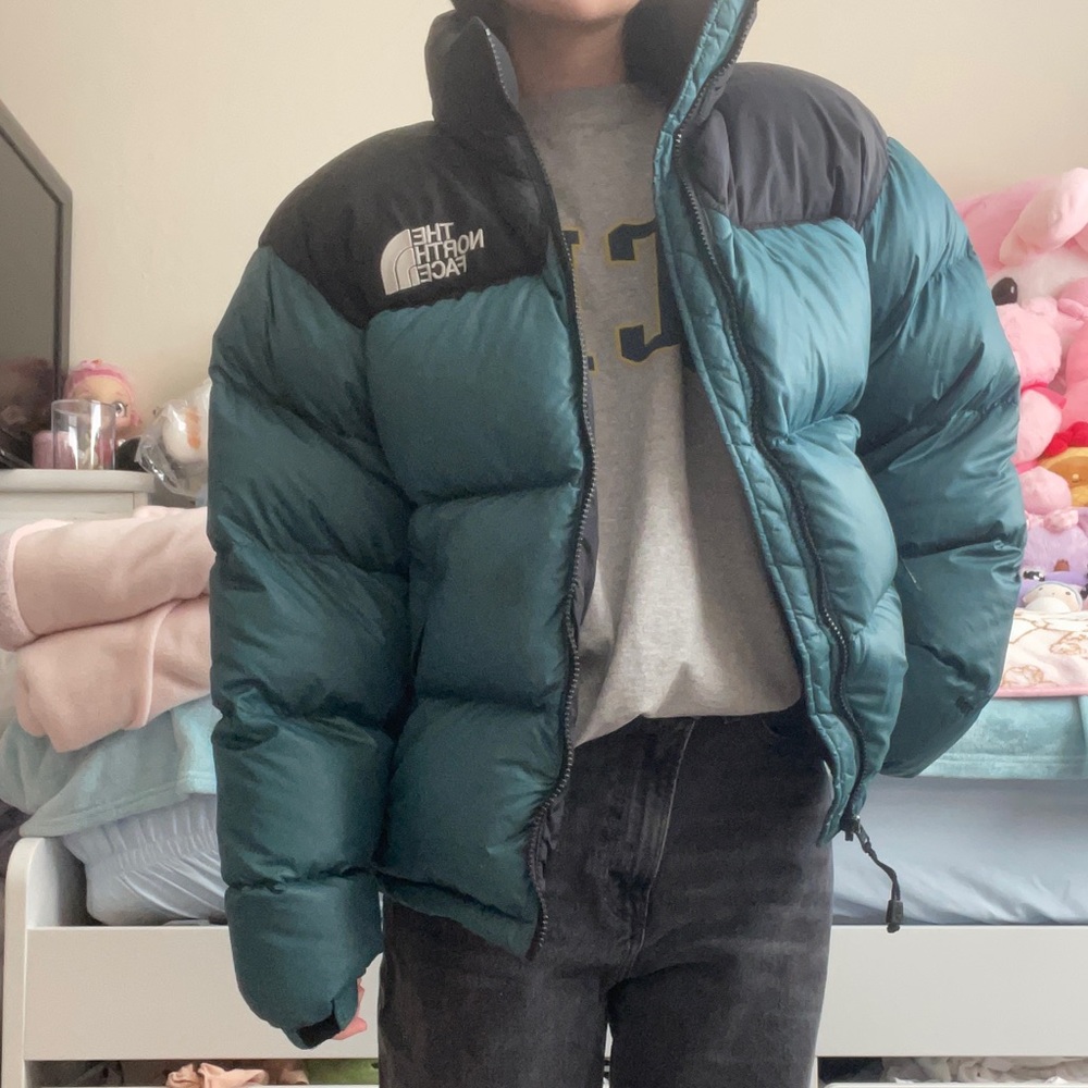 the north face puffer jacket